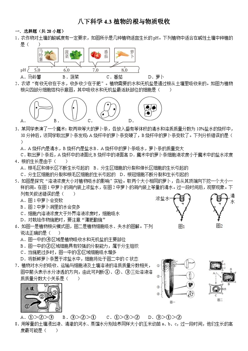 植物的根与物质吸收 试卷01