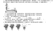 初中科学浙教版八年级下册第4章 植物与土壤第5节 植物的叶与蒸腾作用同步训练题