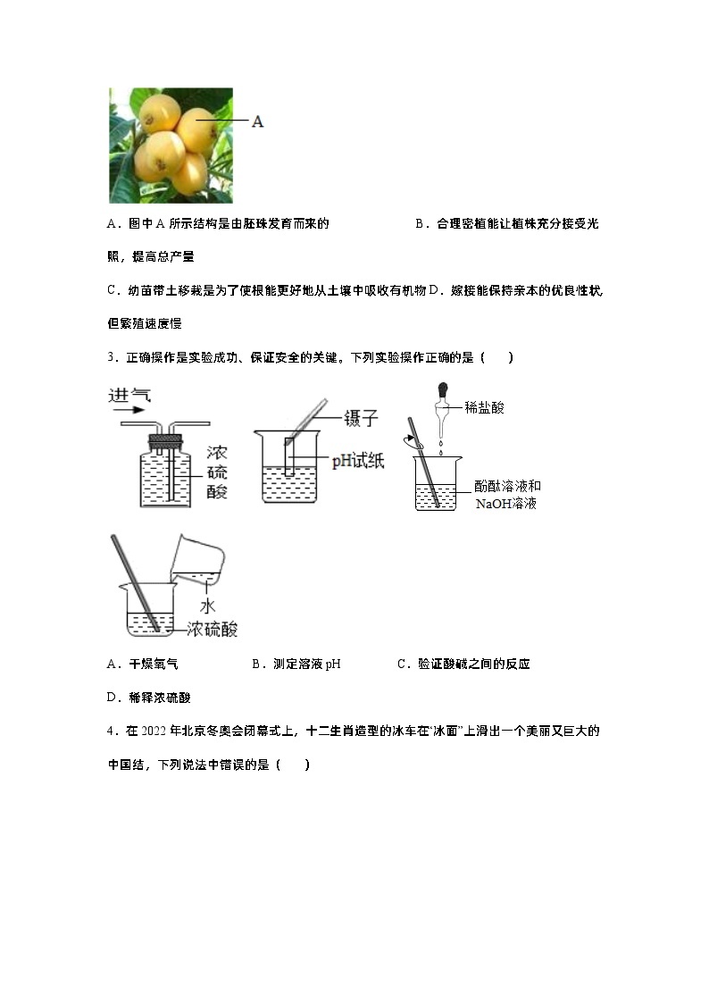 2023年浙江省宁波市中考科学模拟卷02