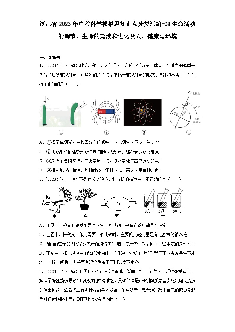 浙江省2023年中考科学模拟题知识点分类汇编-04生命活动的调节、生命的延续和进化及人、健康与环境