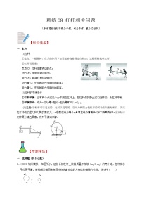 精练08 杠杆相关问题-浙江中考科学复习易错点重难点精炼