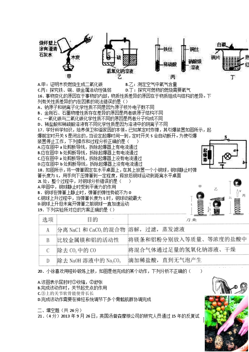 浙江省杭州市临平区2023年中考科学二模试卷03