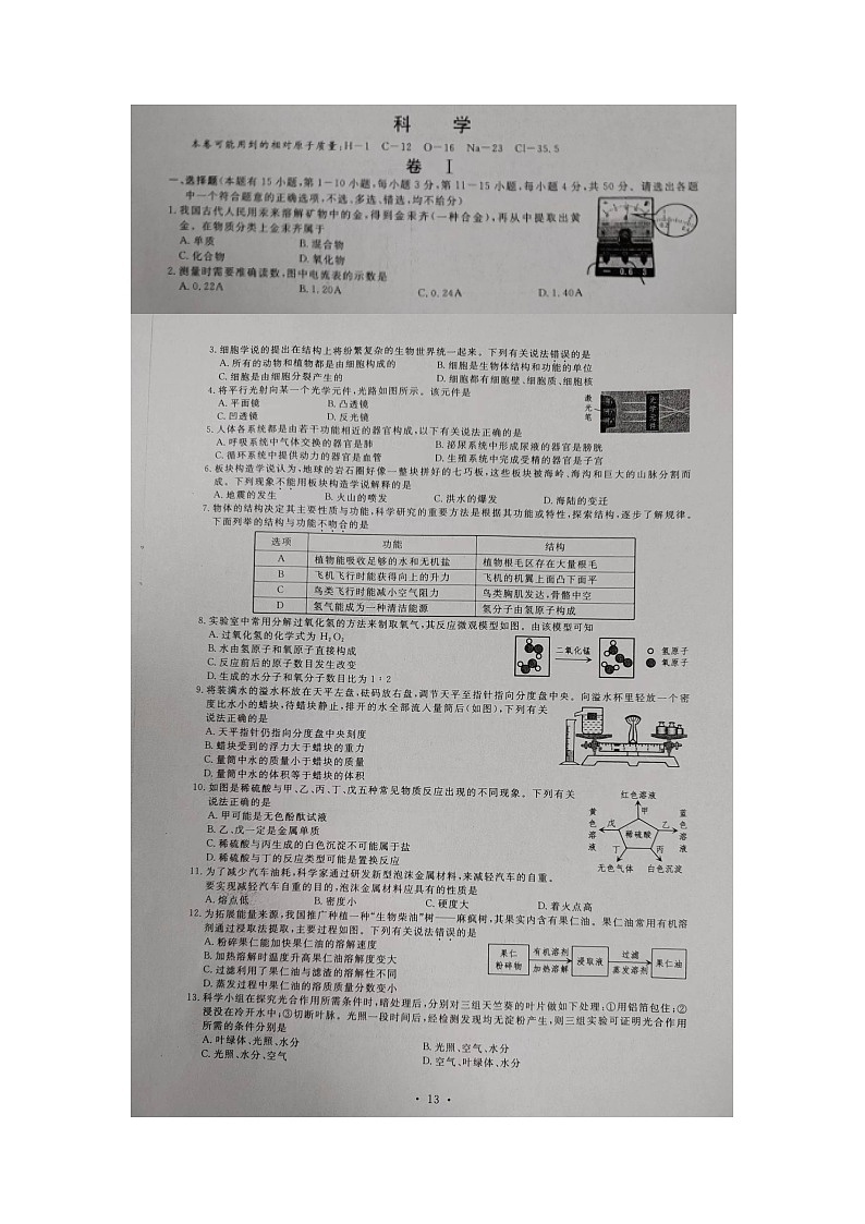 2023年浙江省舟山市中考科学真题01