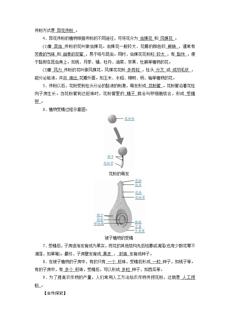 浙教版科学七年级下册教案 第1章 第5节 第1课时 被子植物的有性生殖02