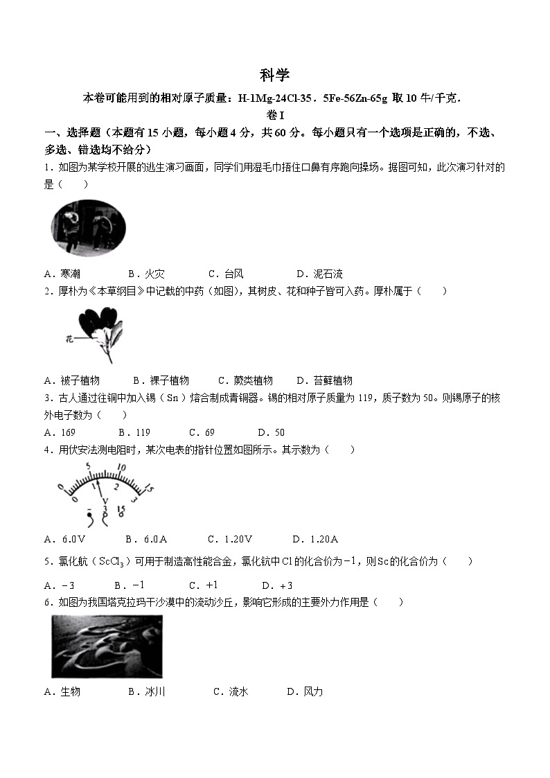 2023年浙江省温州市中考科学中考真题01