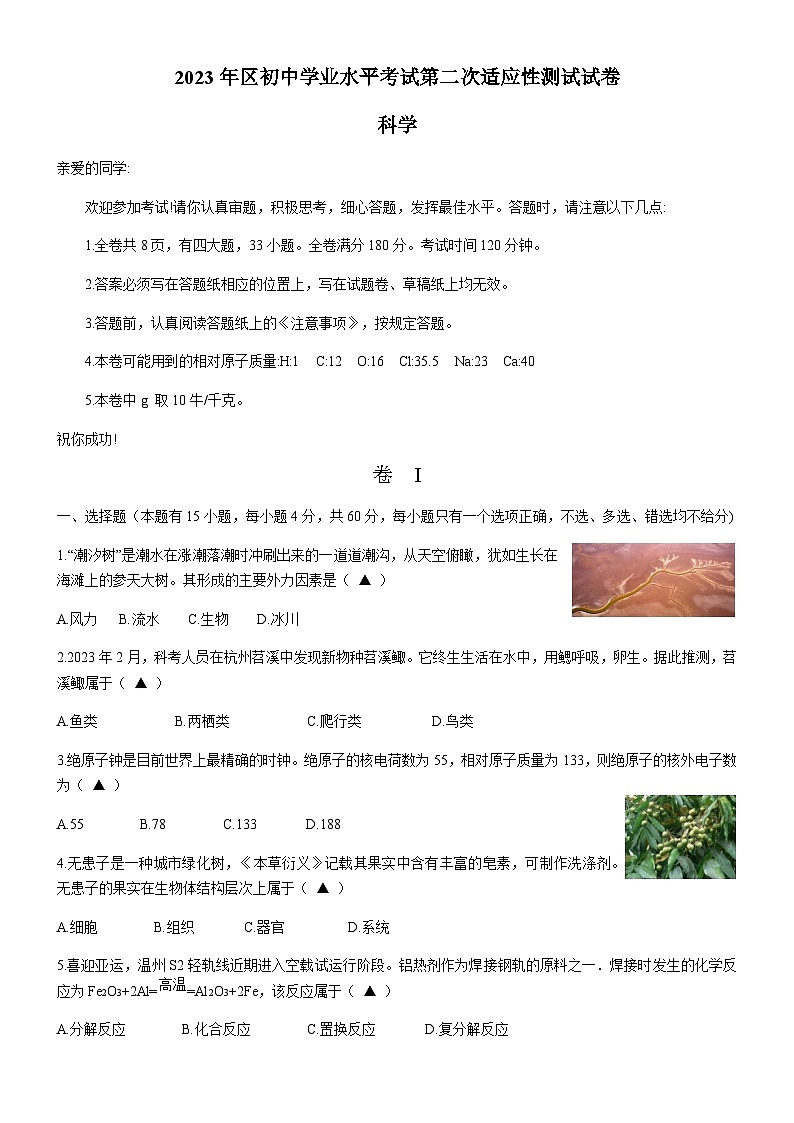 2023年浙江省温州市龙湾区中考科学第二次适应性测试(二模)科学试题01