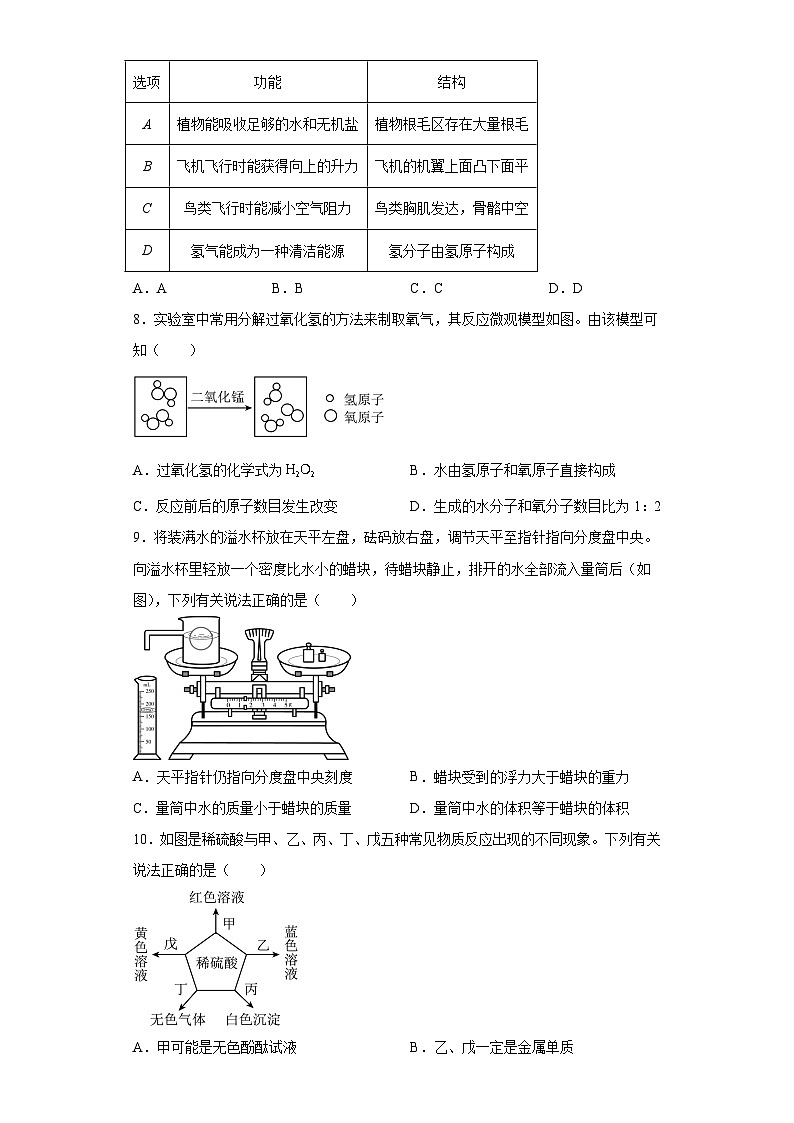 2023年浙江省舟山市中考科学真题(含解析)第2页