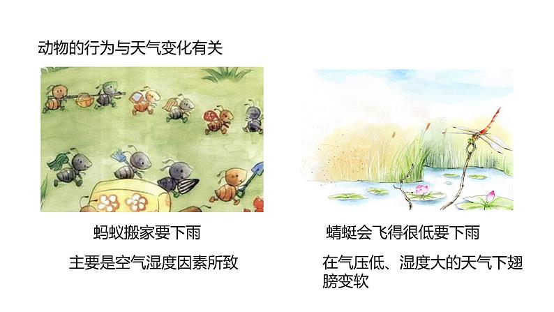 2.2 气温 课件---2023-2024学年浙教版科学八年级上册08