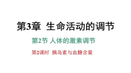 3.2 人体的激素调节 第2课时 胰岛素和血糖含量  课件---2023-2024学年浙教版科学八年级上册