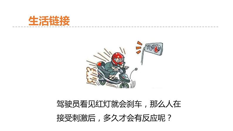 3.3 神经调节 第1课时 对刺激的反应和信息的接受和传导 课件---2023-2024学年浙教版科学八年级上册02
