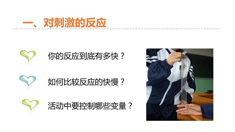 3.3 神经调节 第1课时 对刺激的反应和信息的接受和传导 课件---2023-2024学年浙教版科学八年级上册04