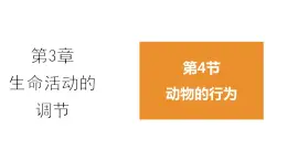 3.4 动物的行为  课件---2023-2024学年浙教版科学八年级上册