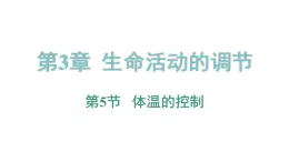 3.5 体温的控制  课件---2023-2024学年浙教版科学八年级上册