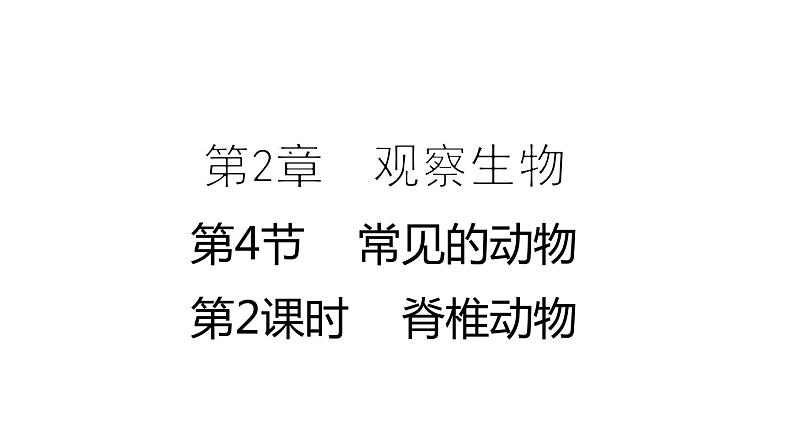 2.4 常见的动物 第2课时 脊椎动物 课件---2023-2024学年浙教版科学七年级上册01