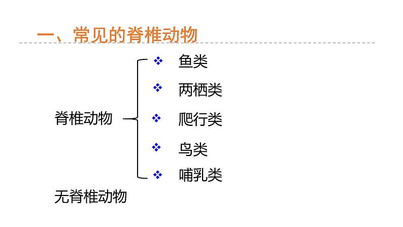 2.4 常见的动物 第2课时 脊椎动物 课件---2023-2024学年浙教版科学七年级上册04