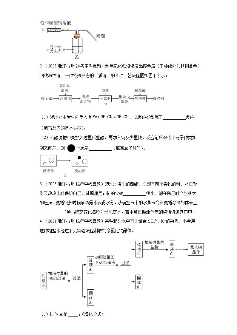 浙江省杭州市中考科学三年（2021-2023）知识点分类汇编-03常见的物质（提升题）02