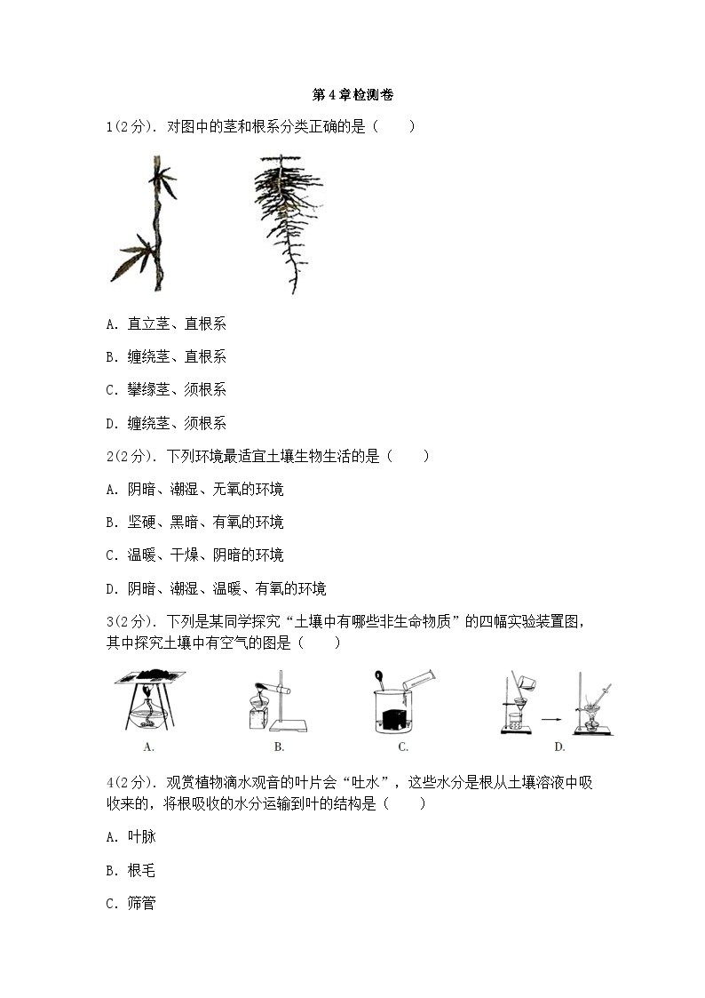 浙教版科学八年级下册：第4章 植物与土壤 检测卷（含答案）01