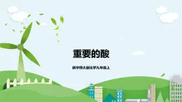 新華師大版化學(xué)九年級上冊2.2 重要的酸 （第一課時(shí)）課件+教案+練習(xí)+視頻