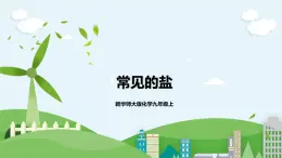 新華師大版化學(xué)九年級(jí)上冊(cè)3.3 常見的鹽 （第2課時(shí)）課件+教案+練習(xí)