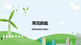 新華師大版化學(xué)九年級(jí)上冊(cè)3.3 常見的鹽（第一課時(shí)）課件+教案+練習(xí)