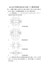 2022-2023学年浙江省舟山市八年级下学期期末科学试卷（含解析）