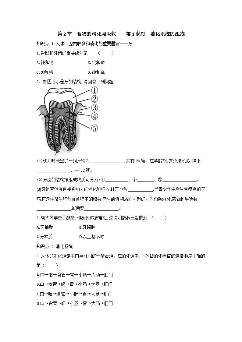 初中科学浙教版九年级上册第2节 食物的消化与吸收精品第1课时达标测试