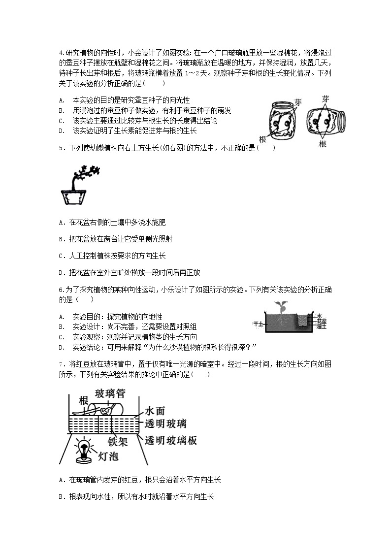 【一课一练】浙教版科学八年级上册：3.1植物的生命调节 （1） 同步练习（含答案）02