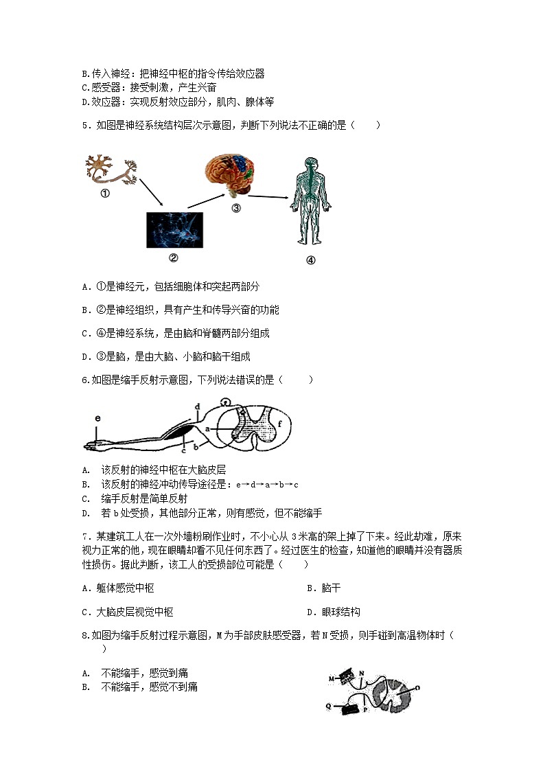 【一课一练】浙教版科学八年级上册:3.3神经调节 (2) 同步练习(含解析)02