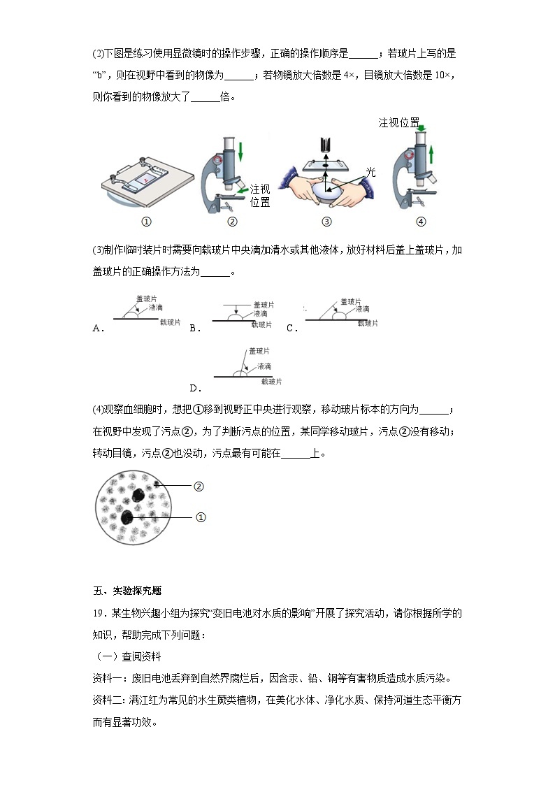 苏科版 生物 七年级上册  1.1  生物学——研究生命的科学 章节训练 （附答案）03