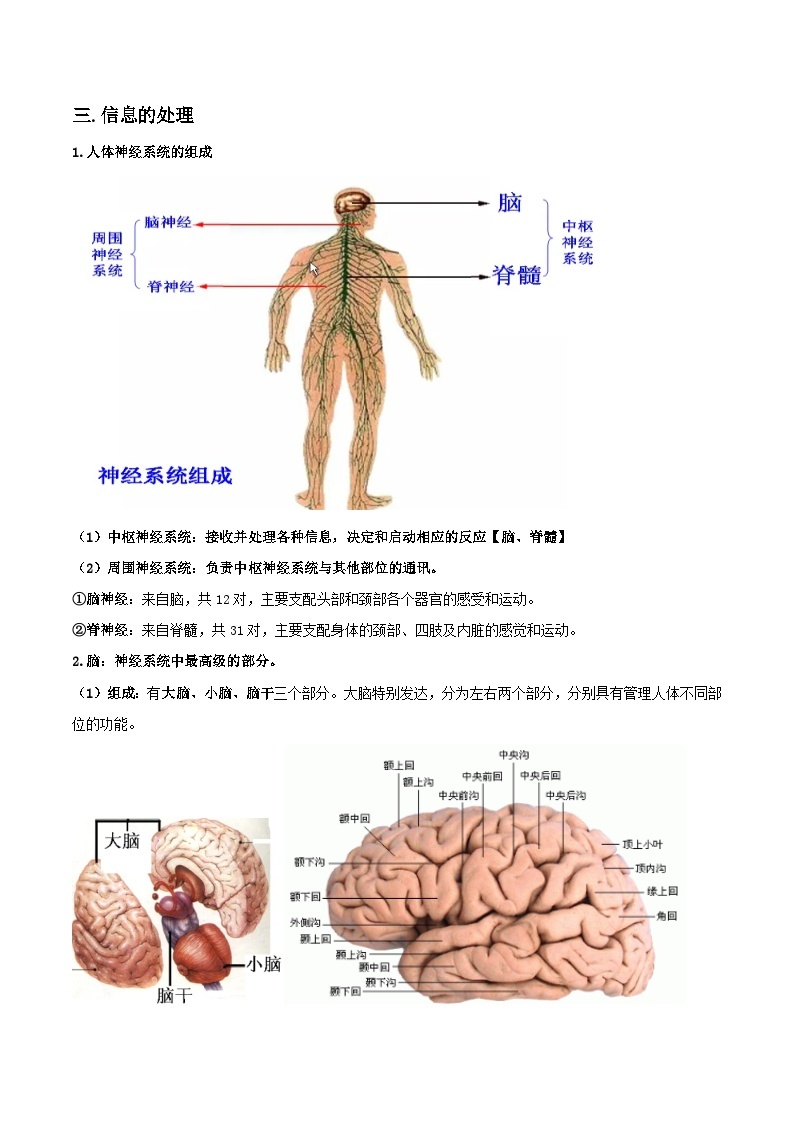 第20讲 神经和体温调节-2023-2024学年新八年级科学暑假精品课 试卷02