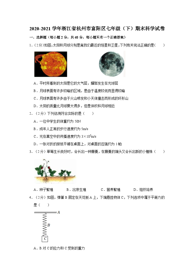 2020-2021学年浙江省杭州市富阳区七年级下学期期末科学试卷（含解析）