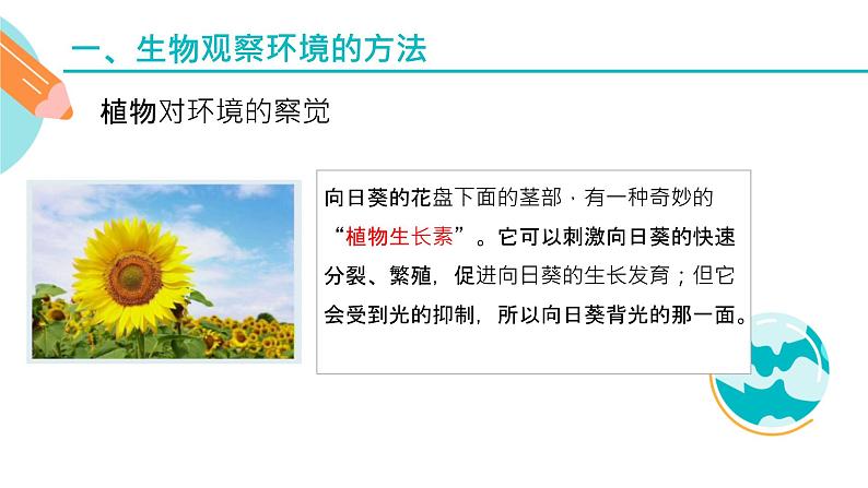 生物对环境变化的反应课件PPT07