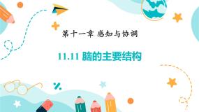 初中科学牛津上海版七年级上册认识脑的主要结构图片课件ppt