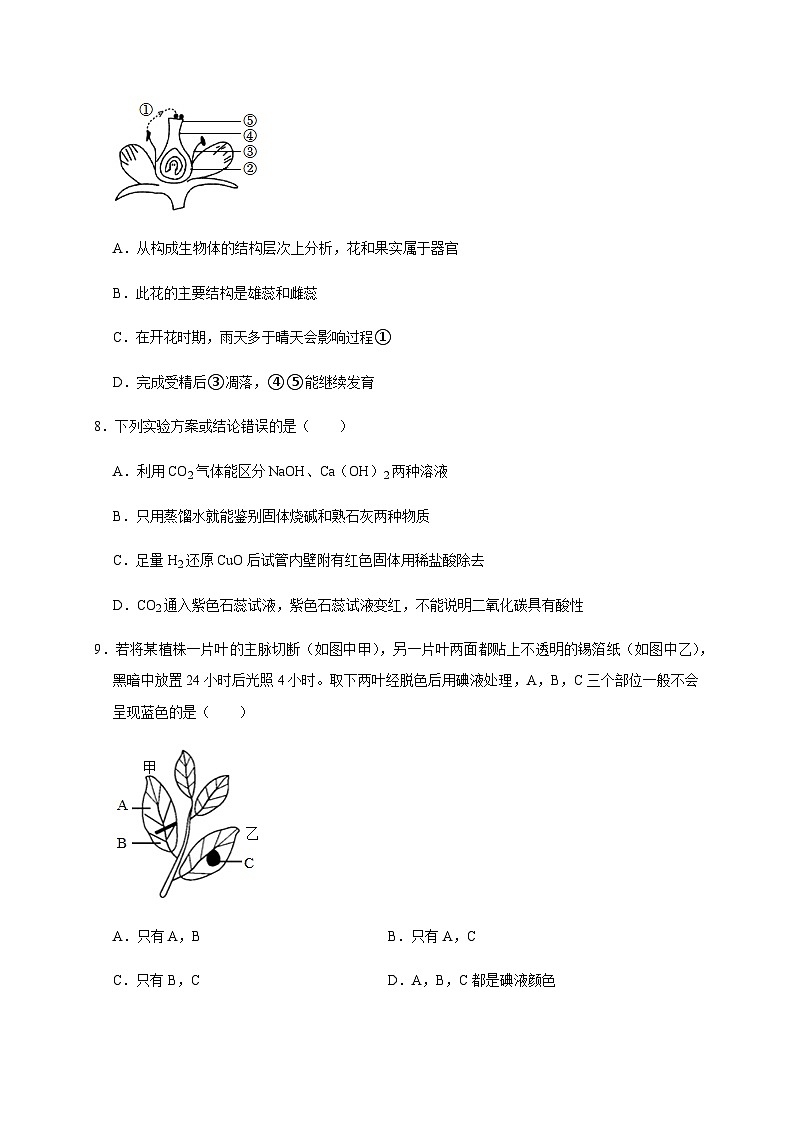 备战2024年中考浙江省初中学业水平考试科学模拟卷(金华专用)703
