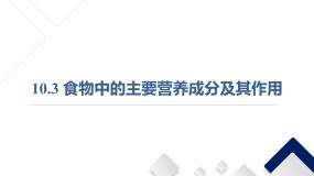 初中科学牛津上海版七年级上册食物中主要成分的作用及检验备课ppt课件