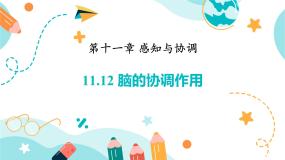 牛津上海版七年级上册大脑能协调人体对外界各种刺激的反应课堂教学课件ppt