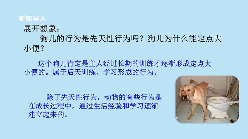 2022浙教版八上科学3.4动物的行为 第2课时(课件+教学设计+学案+视频)03