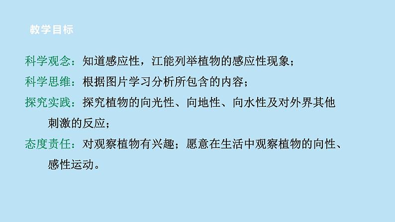 2022浙教版八上科学3.1植物的生命活动调节 第1课时(课件+教学设计+学案+视频)02