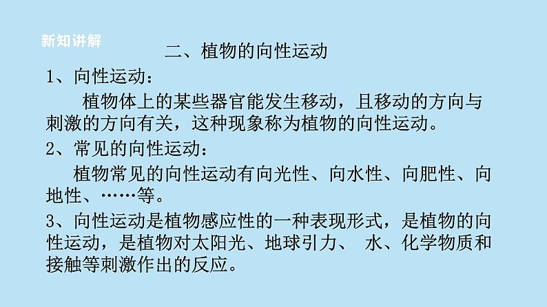 2022浙教版八上科学3.1植物的生命活动调节 第1课时(课件+教学设计+学案+视频)05