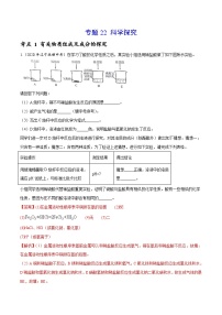 2020年中考化学真题分项汇编专题22 科学探究（含解析）