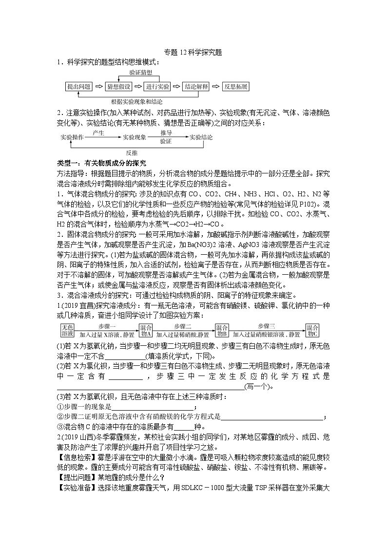 中考化学二轮复习热点专题训练:专题12科学探究题 (含答案)01