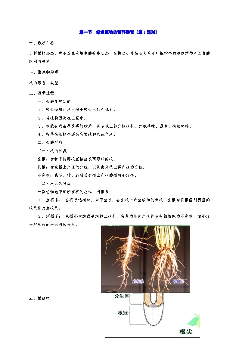 4.1 绿色植物的营养器官 教案华东师大版八年级科学上册01