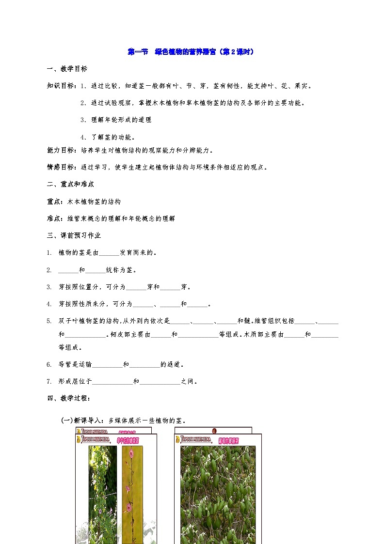 4.1 绿色植物的营养器官 教案华东师大版八年级科学上册03