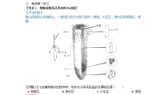 初中科学华师大版八年级上册1 绿色开花植物的营养器官导学案