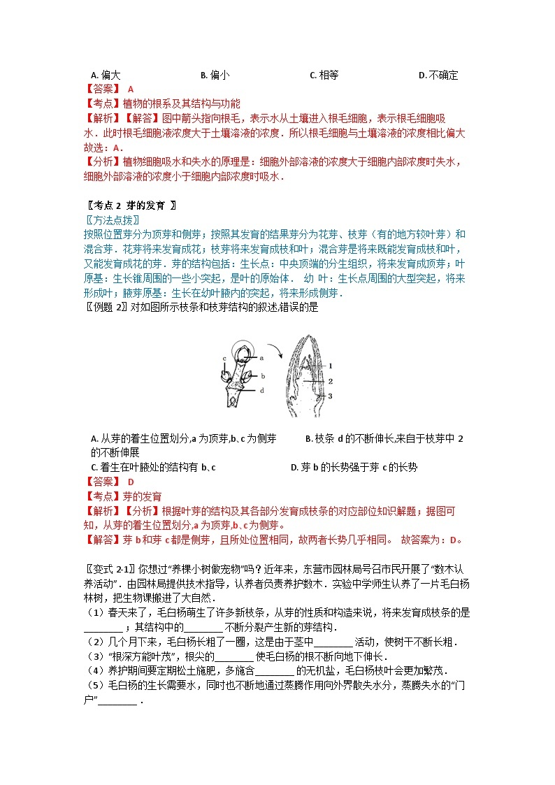 华师大版科学八年级上册 4.1-4.2 绿色开花植物的营养器官 水在植物体中的运输学案03