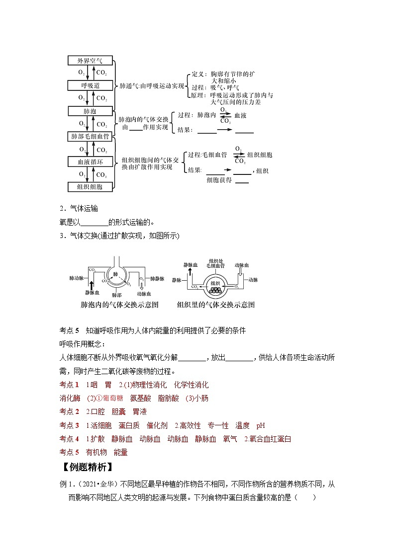 中考科学 二轮专题 专题06 人体的物质和能量转换(一) 学案第3页