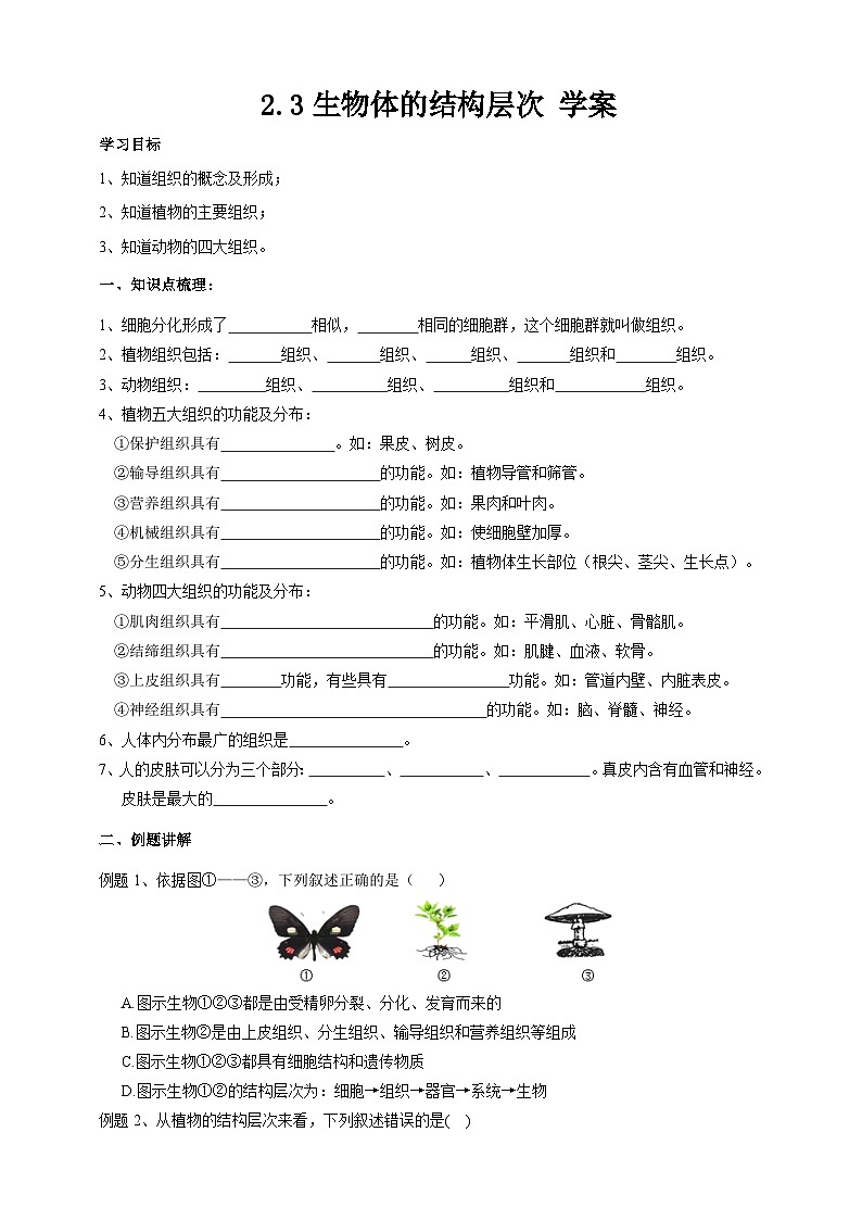 2.3生物體的結(jié)構(gòu)層次   學案 浙教版科學七年級上冊第1頁