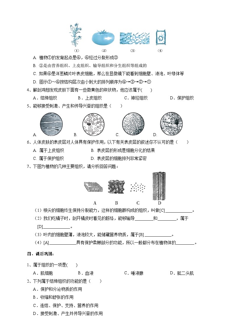 2.3生物體的結(jié)構(gòu)層次   學案 浙教版科學七年級上冊第3頁