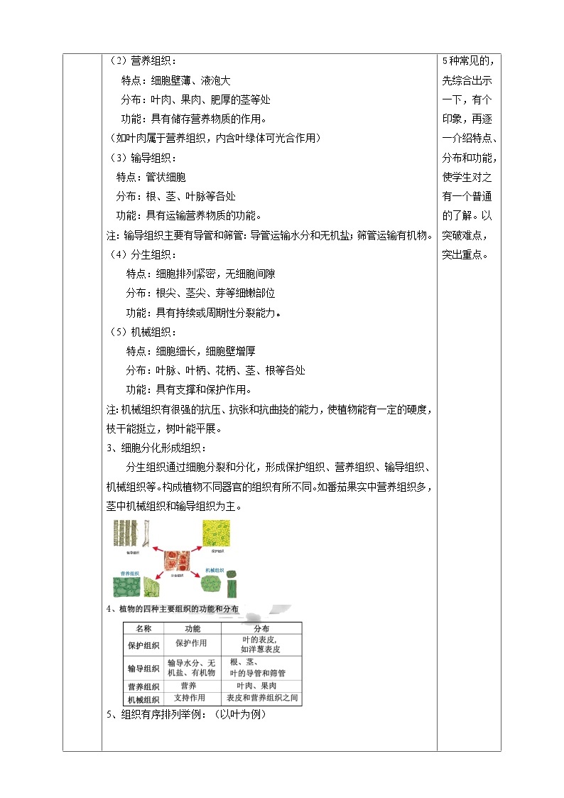 2.3生物体的结构层次  教学设计（表格式） 浙教版科学七年级上册03