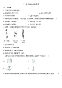 初中科学浙教版七年级上册第3节 生物体的结构层次同步练习题